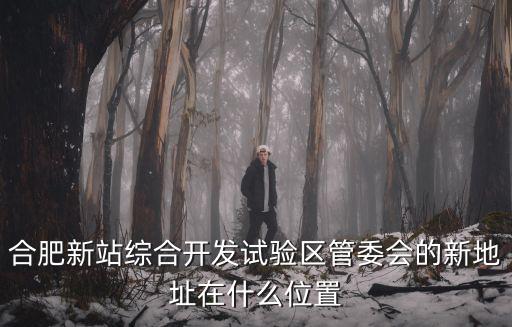 合肥新站區(qū)管委會(huì)，想知道 安徽省合肥市新站區(qū)計(jì)劃生育委員會(huì) 地址