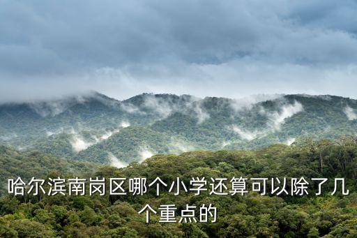 哈爾濱南崗區(qū)哪個小學(xué)還算可以除了幾個重點(diǎn)的