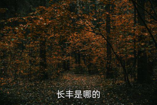 中國(guó)長(zhǎng)豐，長(zhǎng)豐是哪的