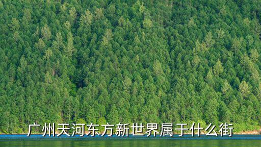 廣州天河東方新世界屬于什么街