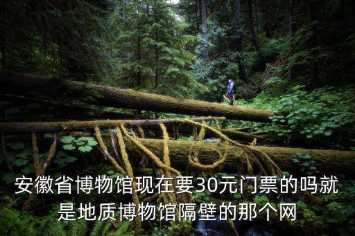 安徽省地質(zhì)博物館，合肥市地質(zhì)博物館今天開(kāi)門(mén)嗎
