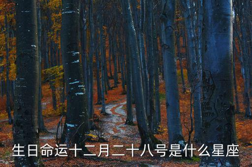 生日命運(yùn)十二月二十八號(hào)是什么星座