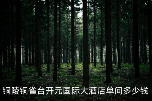 銅陵銅雀臺(tái)開元國際大酒店單間多少錢