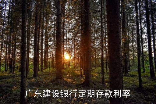 廣東建設銀行定期存款利率