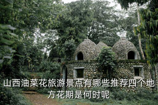 山西油菜花旅游景點有哪些推薦四個地方花期是何時呢