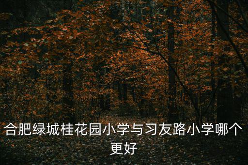 合肥綠城桂花園小學(xué)與習(xí)友路小學(xué)哪個(gè)更好