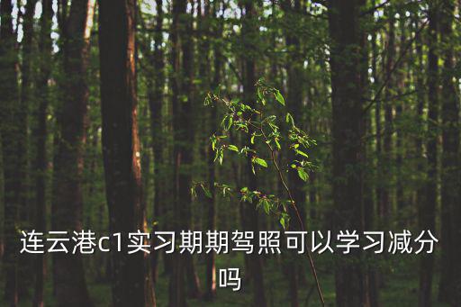 連云港c1實習期期駕照可以學習減分嗎