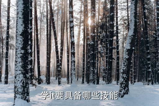 學it要具備哪些技能