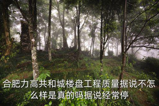 力高共和城，合肥力高共和城樓盤工程質量據說不怎么樣是真的嗎據說經常停