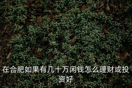 在合肥如果有幾十萬閑錢怎么理財或投資好