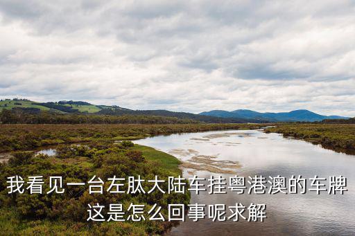 粵港澳三地車(chē)牌，車(chē)牌粵ZXXXXX港澳是什么車(chē)牌