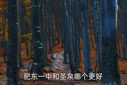 肥東一中和圣泉哪個(gè)更好