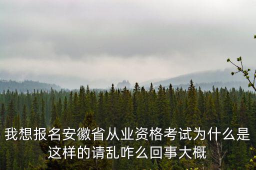 我想報名安徽省從業(yè)資格考試為什么是這樣的請亂咋么回事大概