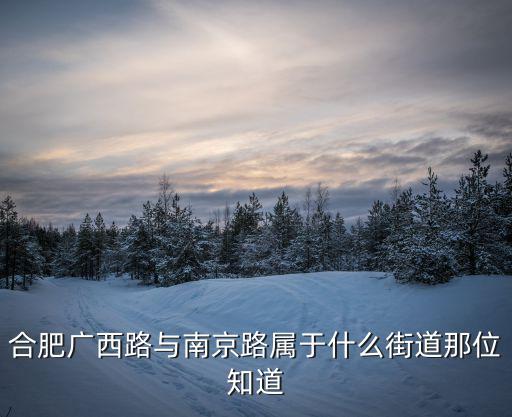 合肥廣西路與南京路屬于什么街道那位知道