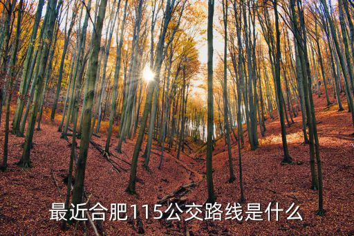 115路公交車路線，115公交在哪站下離中南樂游城近