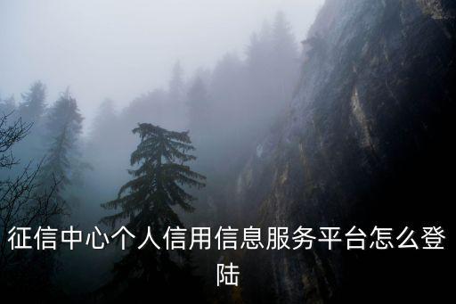 征信中心個人信用信息服務平臺怎么登陸