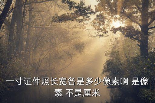 證件照規格，所有證件照的尺寸