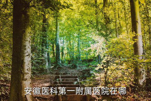 安徽醫科第一附屬醫院在哪