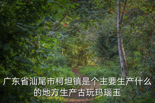廣東省汕尾市柯坦鎮(zhèn)是個主要生產(chǎn)什么的地方生產(chǎn)古玩瑪瑙玉