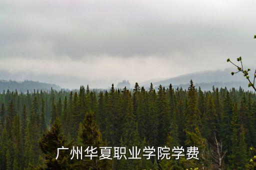 廣州華夏職業學院學費