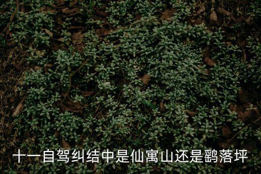 十一自駕糾結中是仙寓山還是鷂落坪