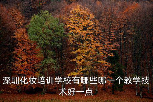深圳彩妝培訓，深圳哪里有化妝學校