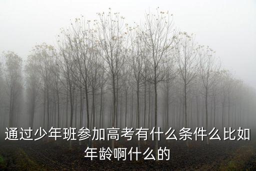 少年班招生條件，通過少年班參加高考有什么條件么比如年齡啊什么的