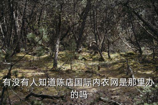 國際內(nèi)衣網(wǎng)，新鄉(xiāng)內(nèi)衣批發(fā)網(wǎng)站有哪些