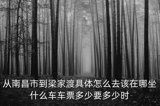 梁家渡，從南昌市到梁家渡具體怎么去該在哪坐什么車車票多少要多少時