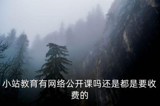 網絡公開課，小站教育有網絡公開課嗎還是都是要收費的