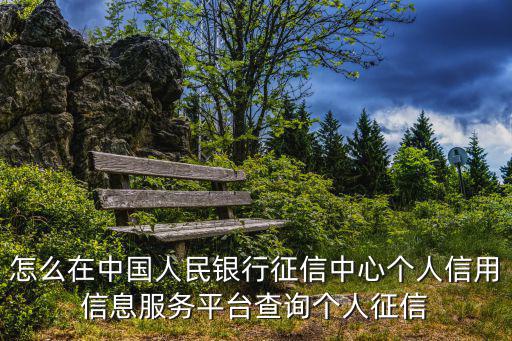 中國人民銀行征信中心個(gè)人信用信息服務(wù)平臺(tái)，登錄中國人民銀行征信中心個(gè)人信用信息服務(wù)平臺(tái)注冊(cè)的時(shí)候