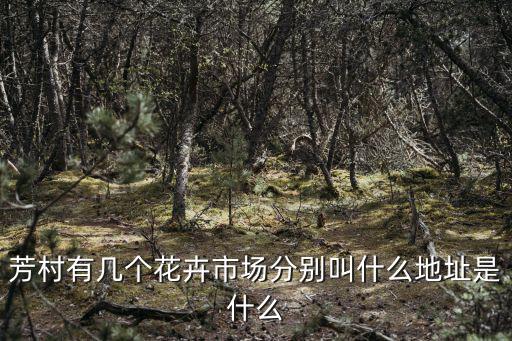 芳村有幾個(gè)花卉市場(chǎng)分別叫什么地址是什么