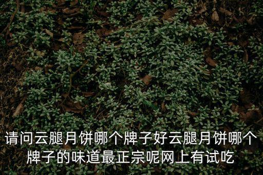 請問云腿月餅?zāi)膫€牌子好云腿月餅?zāi)膫€牌子的味道最正宗呢網(wǎng)上有試吃