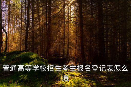 普通高等學校招生考生報名登記表怎么填