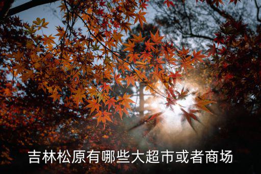 松原購(gòu)物，松原歐亞都有賣什么的啊