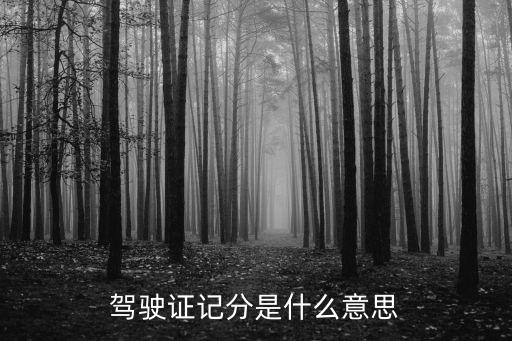 駕駛證記分是什么意思