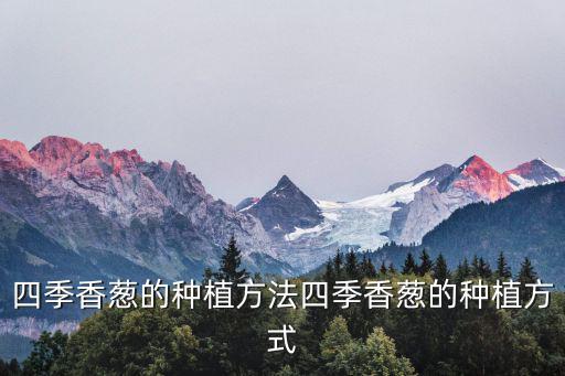 四季香，四季香怎么養