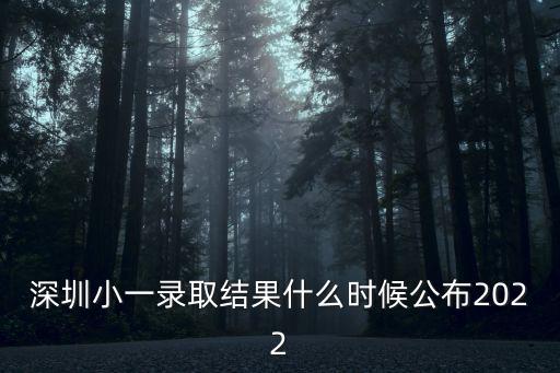 深圳小一錄取結(jié)果什么時(shí)候公布2022