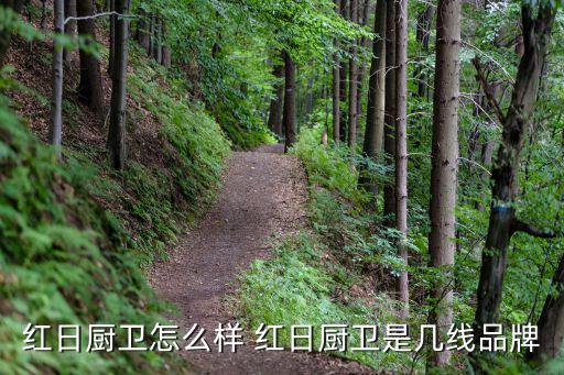 紅日廚衛(wèi)怎么樣 紅日廚衛(wèi)是幾線品牌