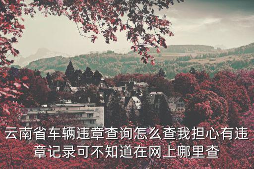 云南省車輛違章查詢怎么查我擔(dān)心有違章記錄可不知道在網(wǎng)上哪里查