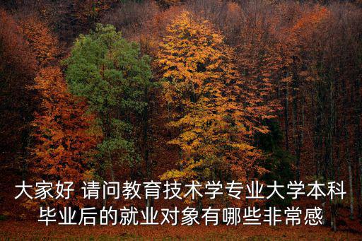 大家好 請問教育技術(shù)學專業(yè)大學本科畢業(yè)后的就業(yè)對象有哪些非常感