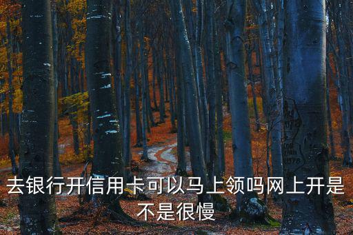 去銀行開信用卡可以馬上領嗎網上開是不是很慢