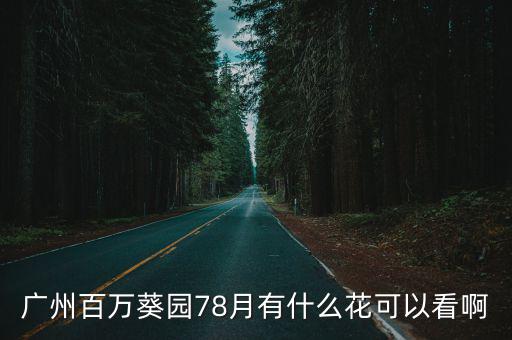 廣州百萬葵園78月有什么花可以看啊