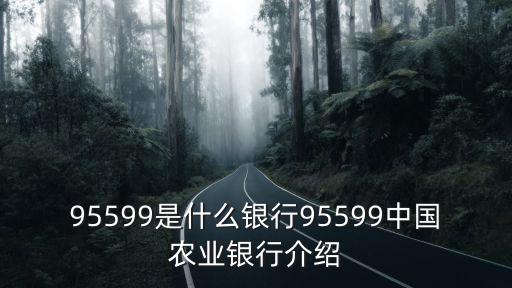 95599是什么銀行95599中國農業銀行介紹