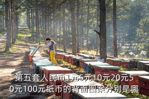 第五套人民幣1元5元10元20元50元100元紙幣的背面圖案分別是哪