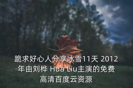 跪求好心人分享冰雪11天 2012年由劉樺 Hua Liu主演的免費(fèi)高清百度云資源