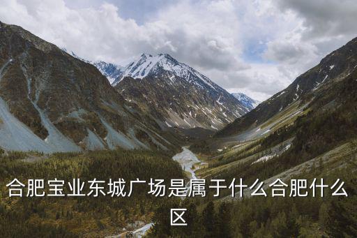 合肥寶業東城廣場是屬于什么合肥什么區