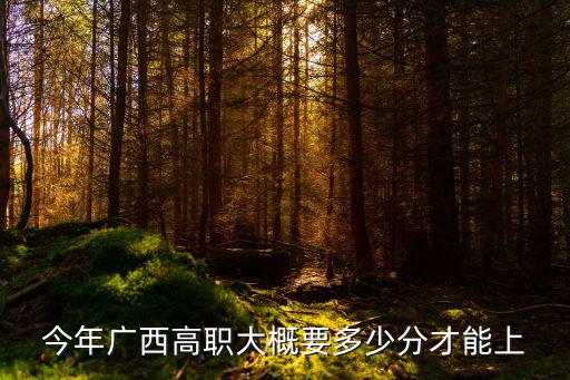 今年廣西高職大概要多少分才能上