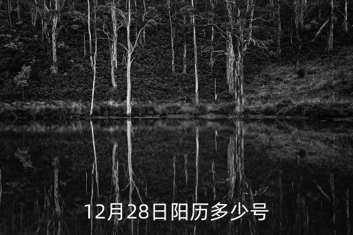 12月28日陽歷多少號
