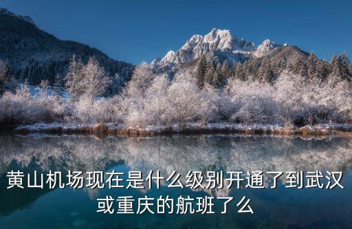黃山機場現在是什么級別開通了到武漢或重慶的航班了么